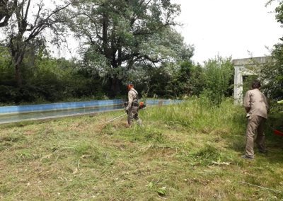 Trabajo realizado - Podas El Castor