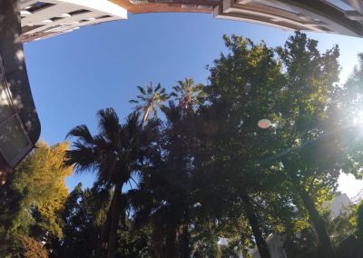 Trabajo realizado - Podas El Castor