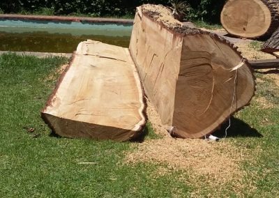 Trabajo realizado - Podas El Castor