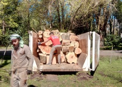 Trabajo realizado - Podas El Castor