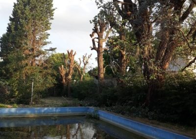 Trabajo realizado - Podas El Castor