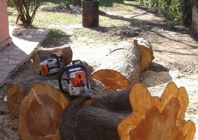 Trabajo realizado - Podas El Castor