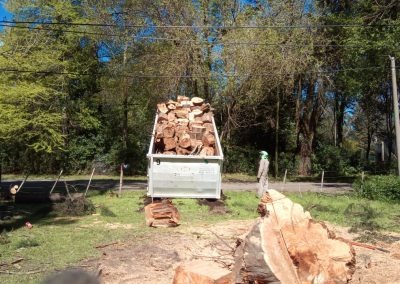Trabajo realizado - Podas El Castor