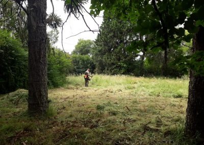 Trabajo realizado - Podas El Castor