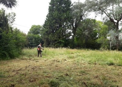 Trabajo realizado - Podas El Castor