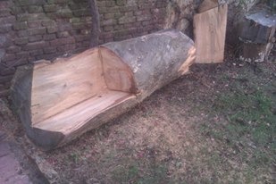 Trabajo realizado - Podas El Castor