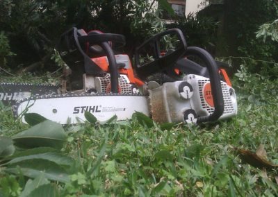 Trabajo realizado - Podas El Castor