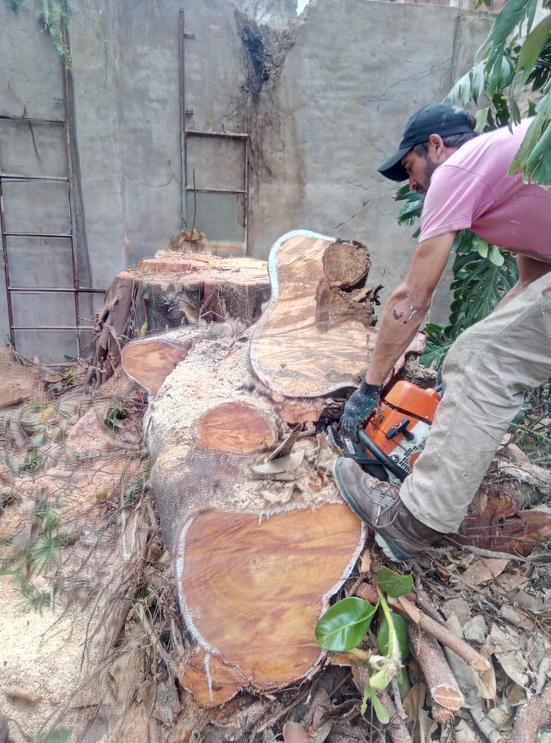 Trabajo realizado - Podas El Castor
