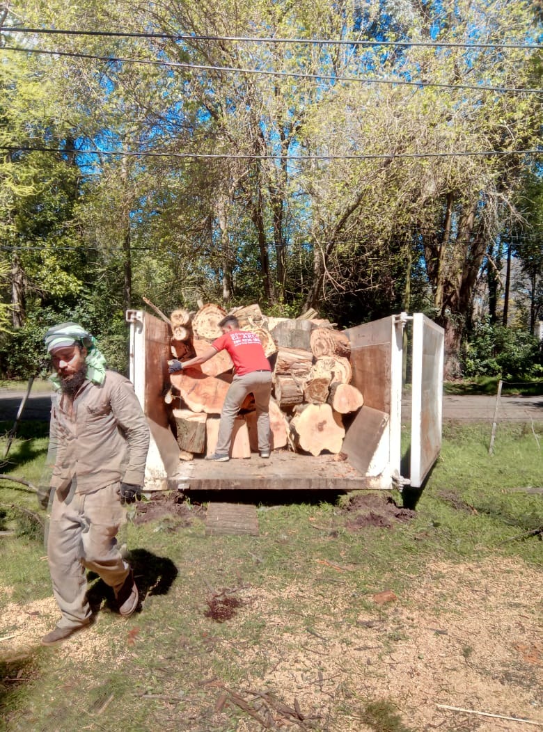 Trabajo realizado - Podas El Castor