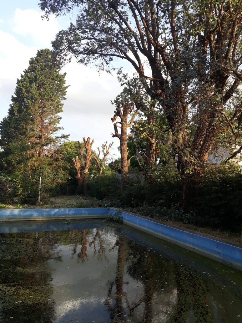 Trabajo realizado - Podas El Castor