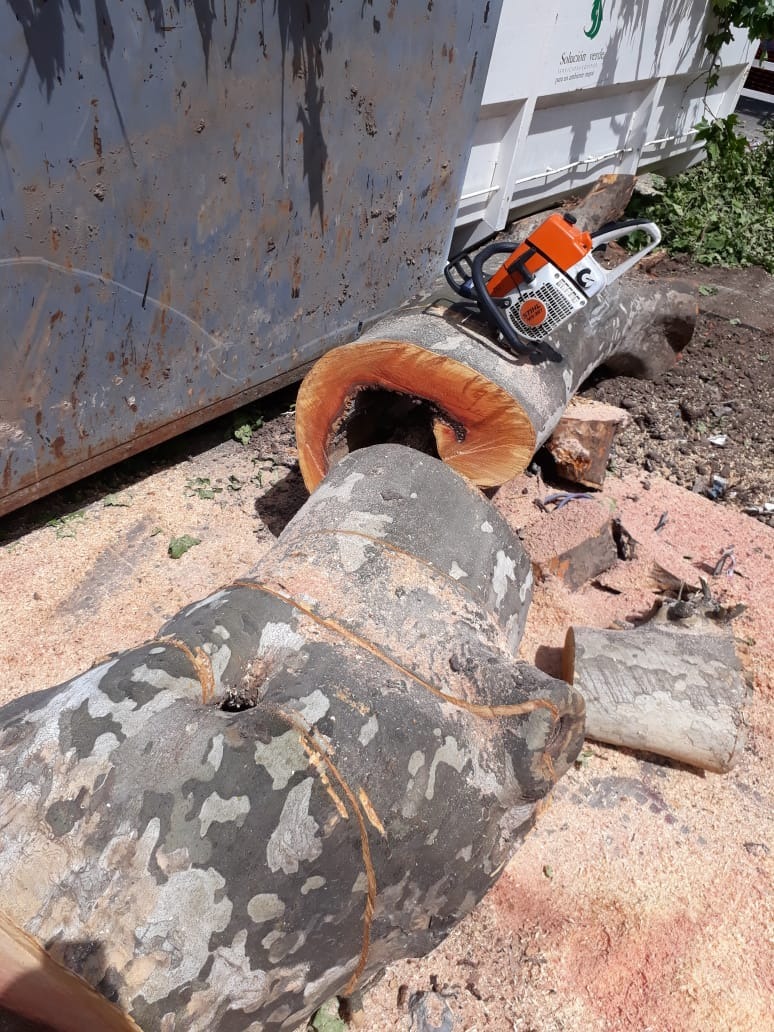 Trabajo realizado - Podas El Castor