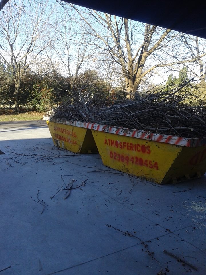 Trabajo realizado - Podas El Castor