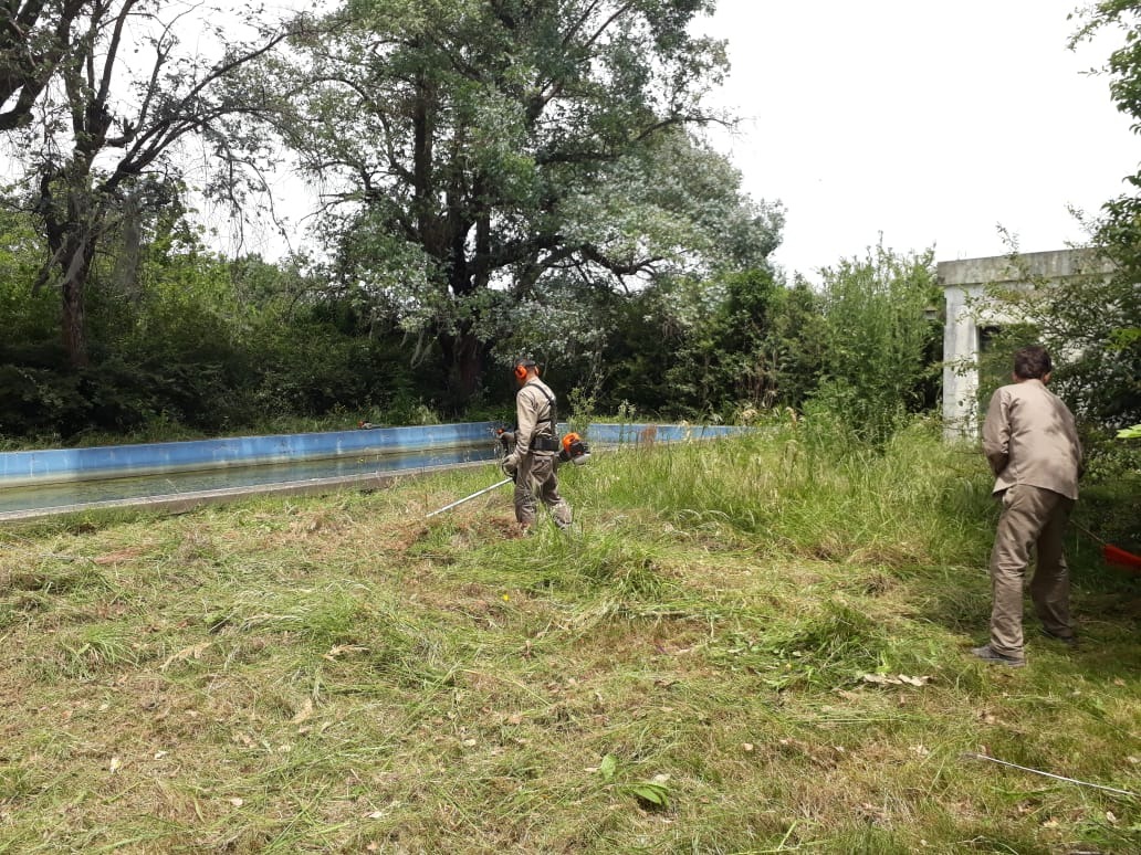 Trabajo realizado - Podas El Castor