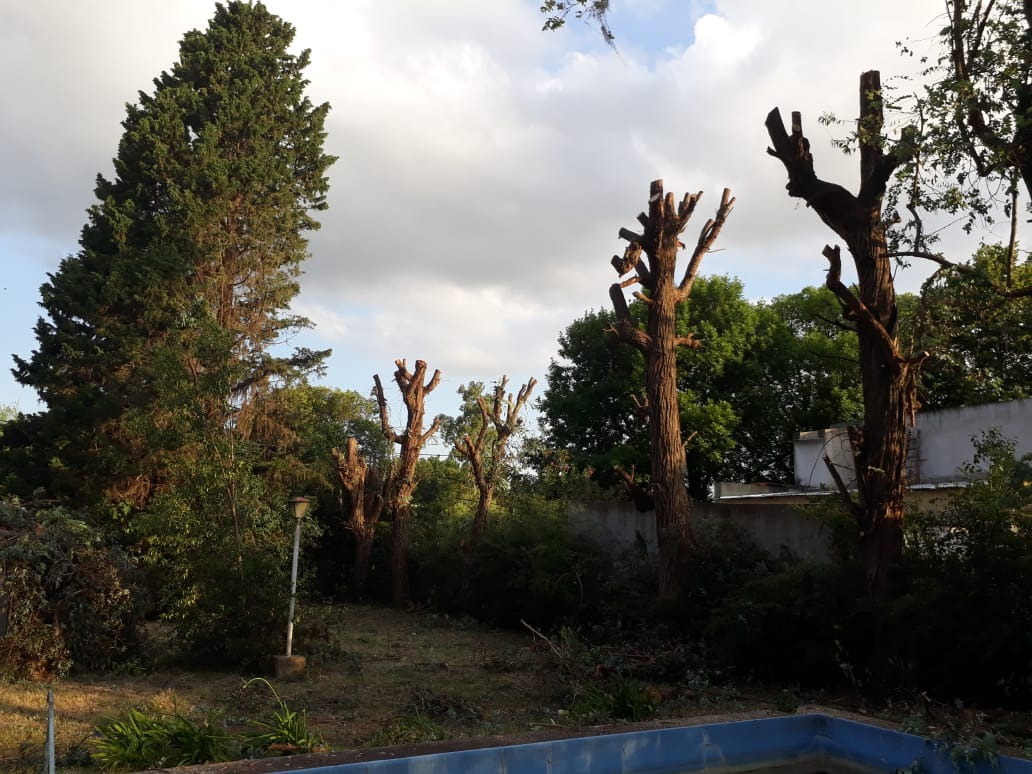 Trabajo realizado - Podas El Castor