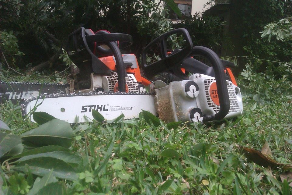 Trabajo realizado - Podas El Castor