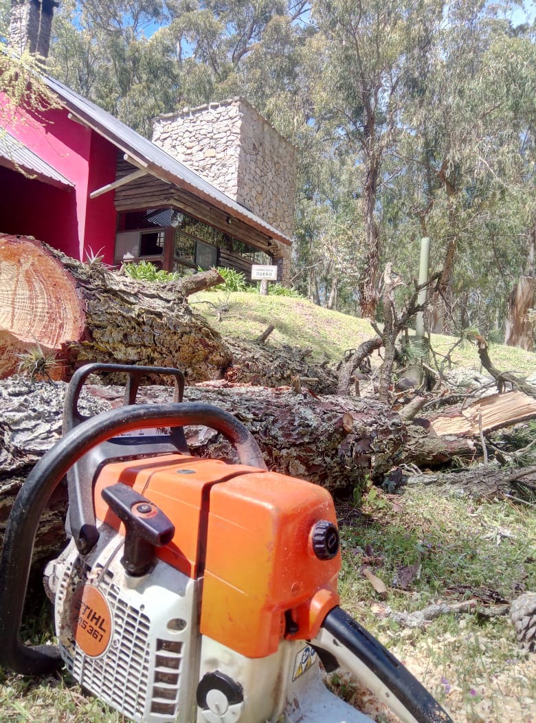 Trabajo realizado - Podas El Castor
