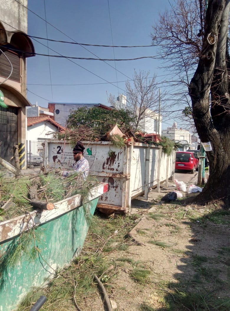 Trabajo realizado - Podas El Castor