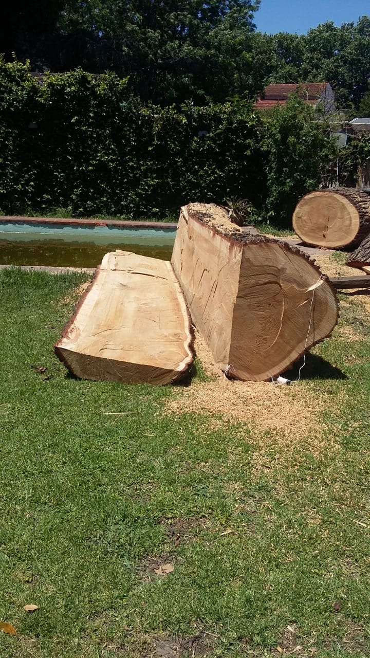 Trabajo realizado - Podas El Castor