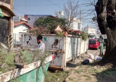 Trabajo realizado - Podas El Castor