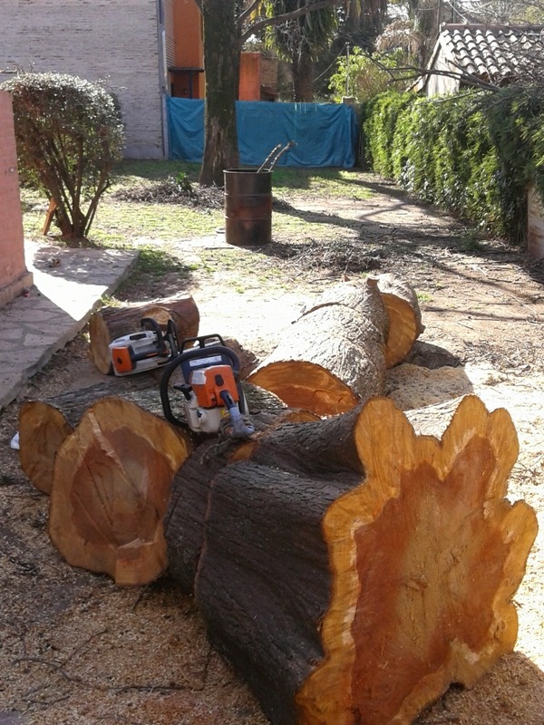 Trabajo realizado - Podas El Castor