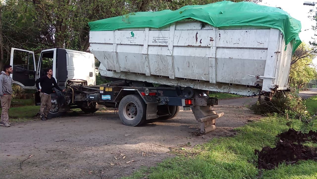 Trabajo realizado - Podas El Castor