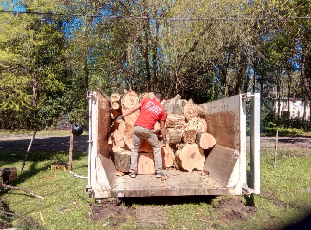 Trabajo realizado - Podas El Castor