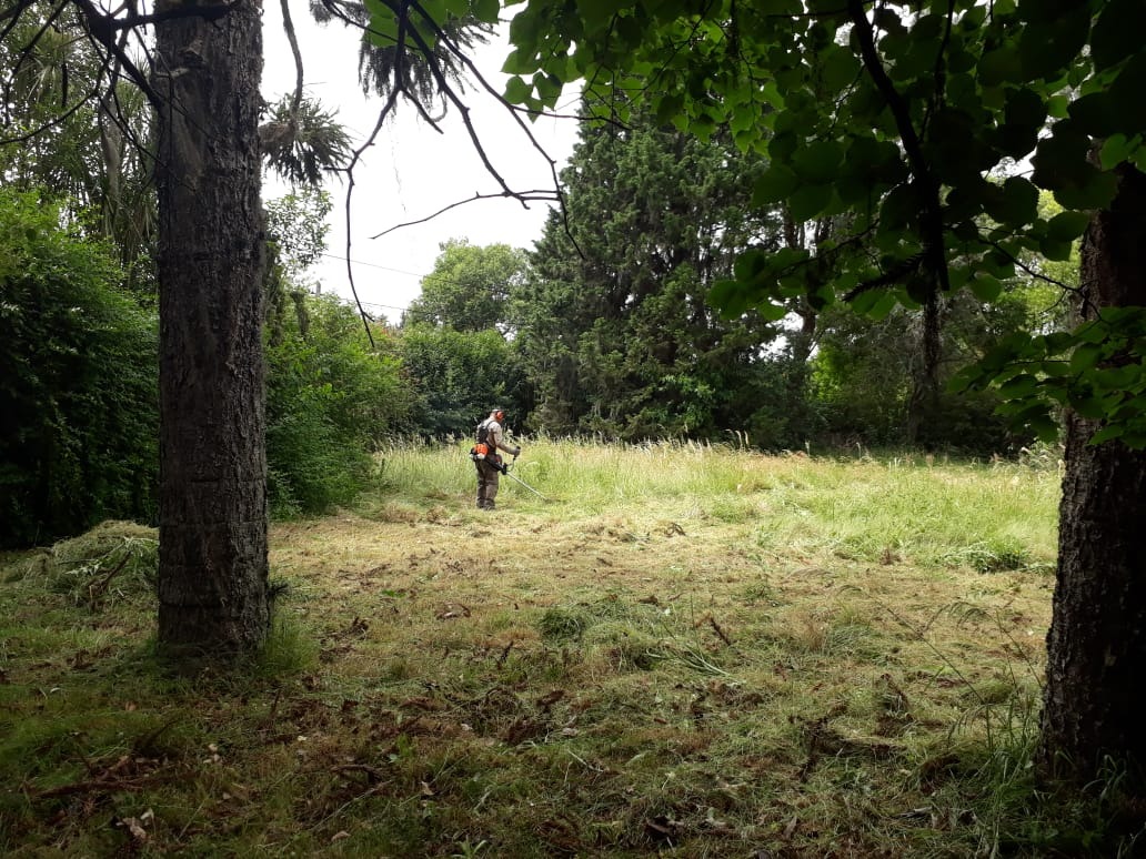 Trabajo realizado - Podas El Castor
