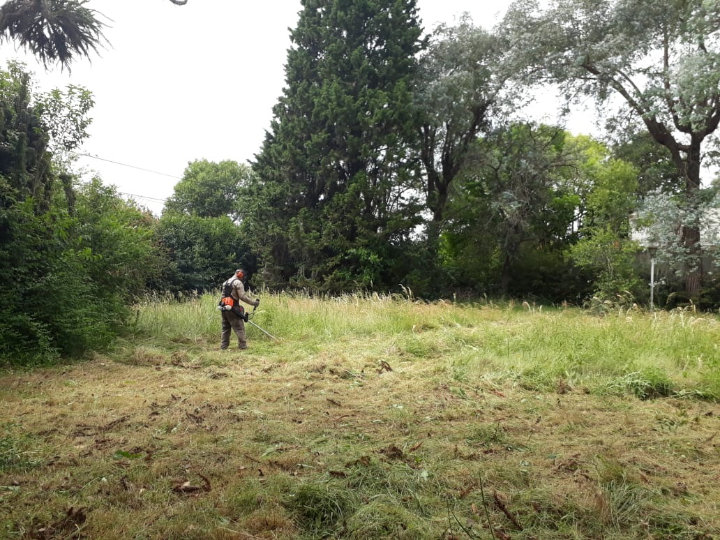 Trabajo realizado - Podas El Castor
