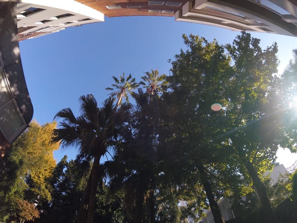 Trabajo realizado - Podas El Castor