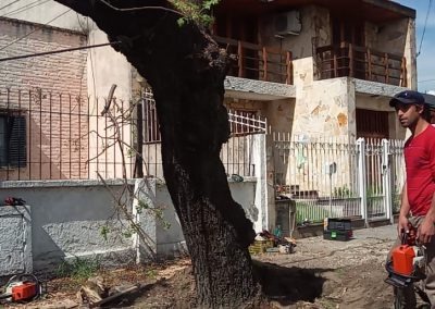 Trabajo realizado - Podas El Castor