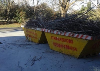 Trabajo realizado - Podas El Castor