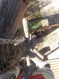 Trabajo realizado - Podas El Castor