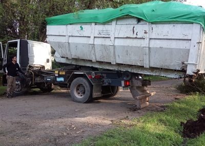 Trabajo realizado - Podas El Castor