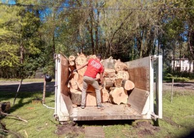 Trabajo realizado - Podas El Castor